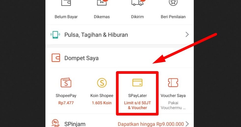 Aktivasi Dan Cara Bayar Shopee Paylater Yang Benar – Mutaeasy